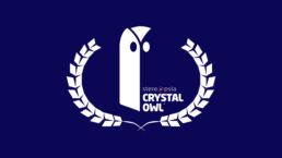 stereopsia crystal owl
