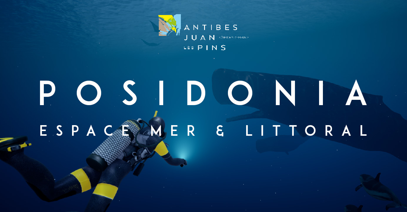 Posidonia VR by BackLight